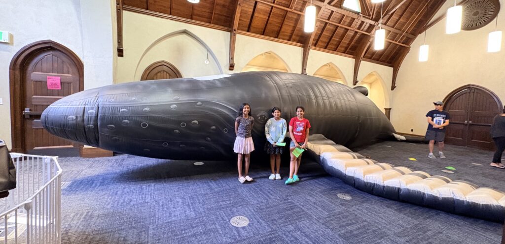 Whalemobile