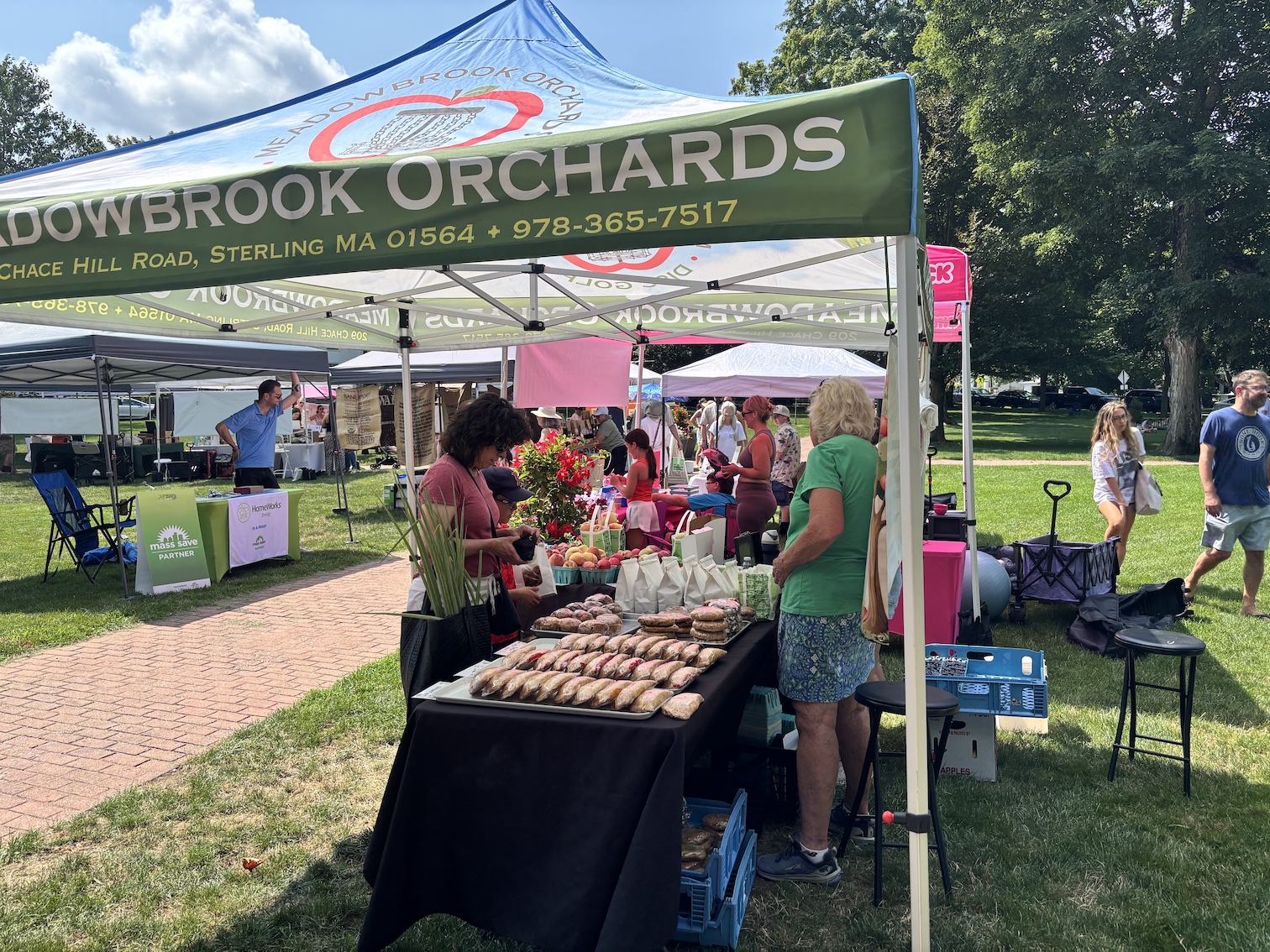 Parks & Rec opposes exclusive permitting for Town Common events despite protester issue
