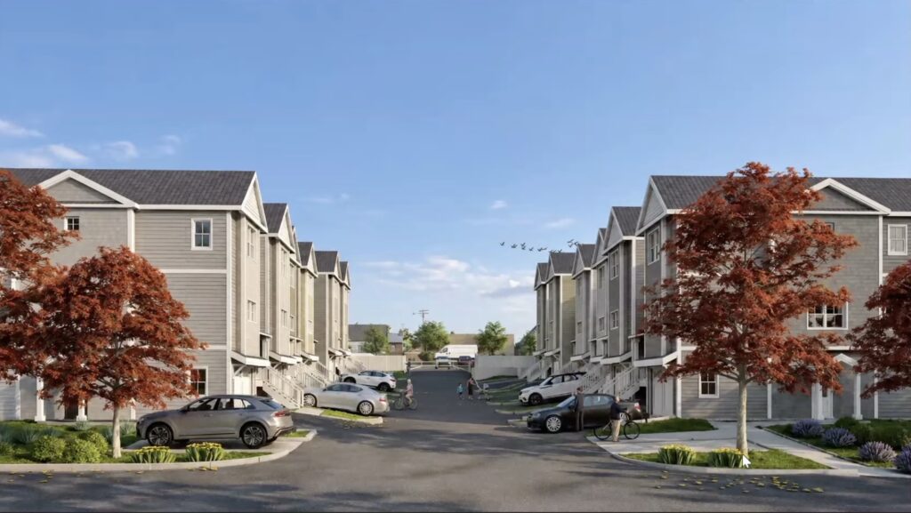14-Main-development