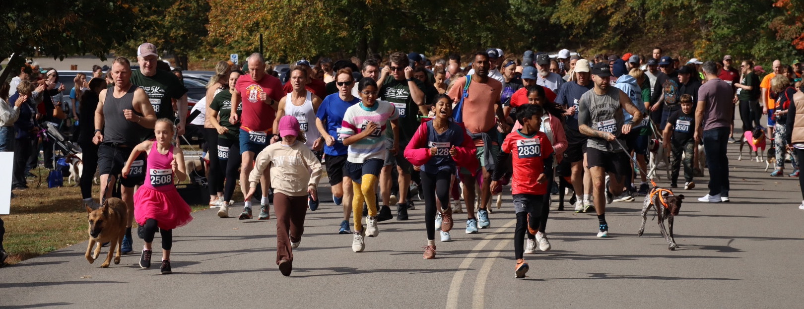 Photos: Baypath Paws & Claws 5K at Hopkinton State Park