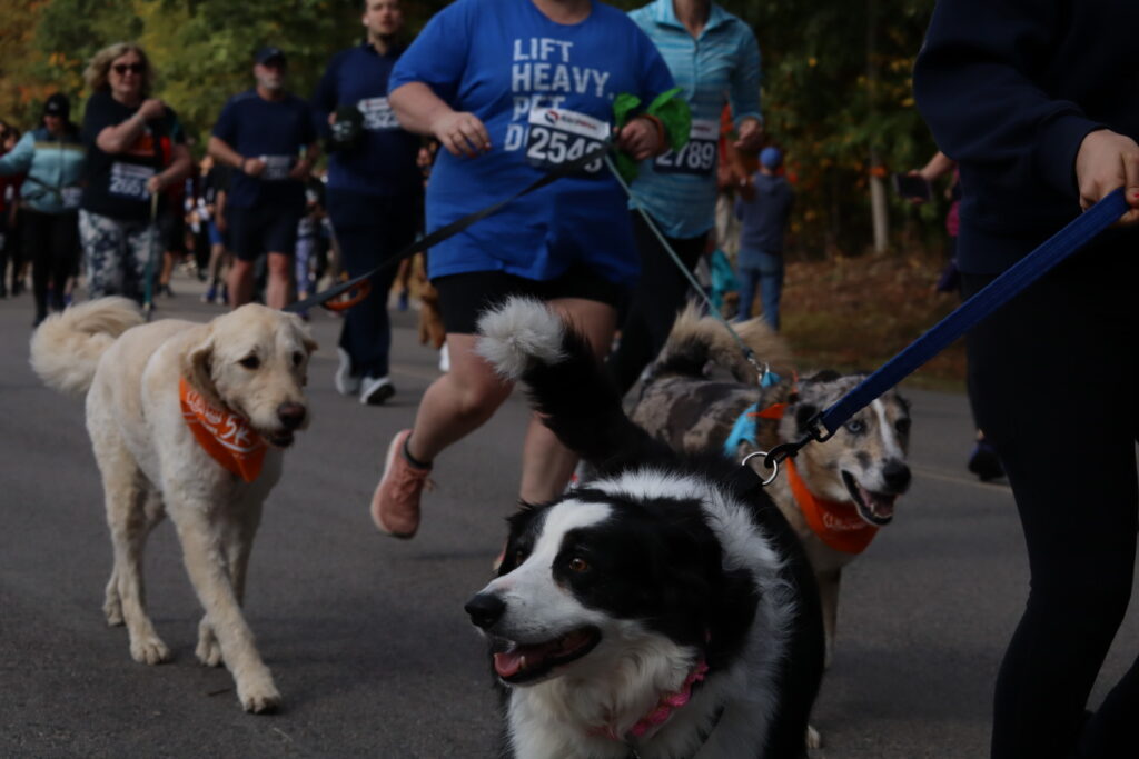 Baypath 5K