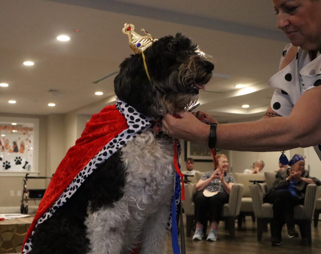 Golden Pond Dog Show